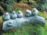 Photo of Campania Birds on a Log - Exclusively Campania